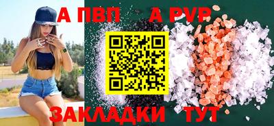 индика Кингисепп