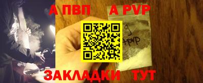 индика Кингисепп