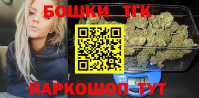 индика Кингисепп