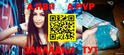 индика Кингисепп