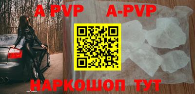 индика Кингисепп