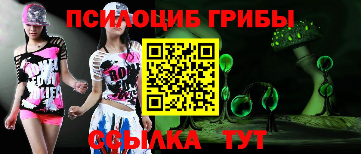 Петропавловск-Камчатский  Псилоцибиновые грибы прущие грибы  Вход с VPN  Псилоцибиновые грибы MAGIC MUSHROOMS 