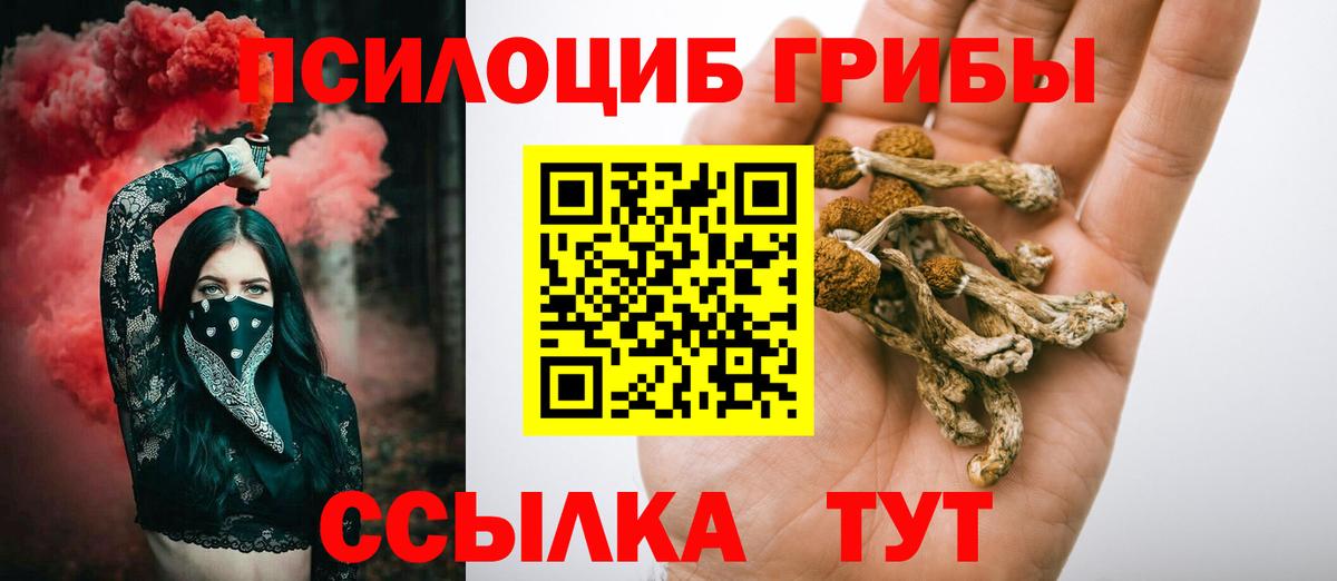 Псилоцибиновые грибы прущие грибы Петропавловск-Камчатский